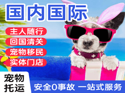 长春空运代理国际宠物托运 【国